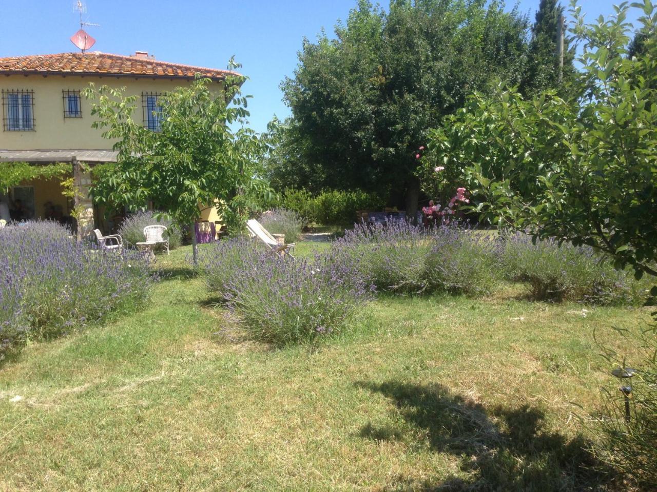 Agriturismo Papageno Rignano sullʼArno Екстериор снимка